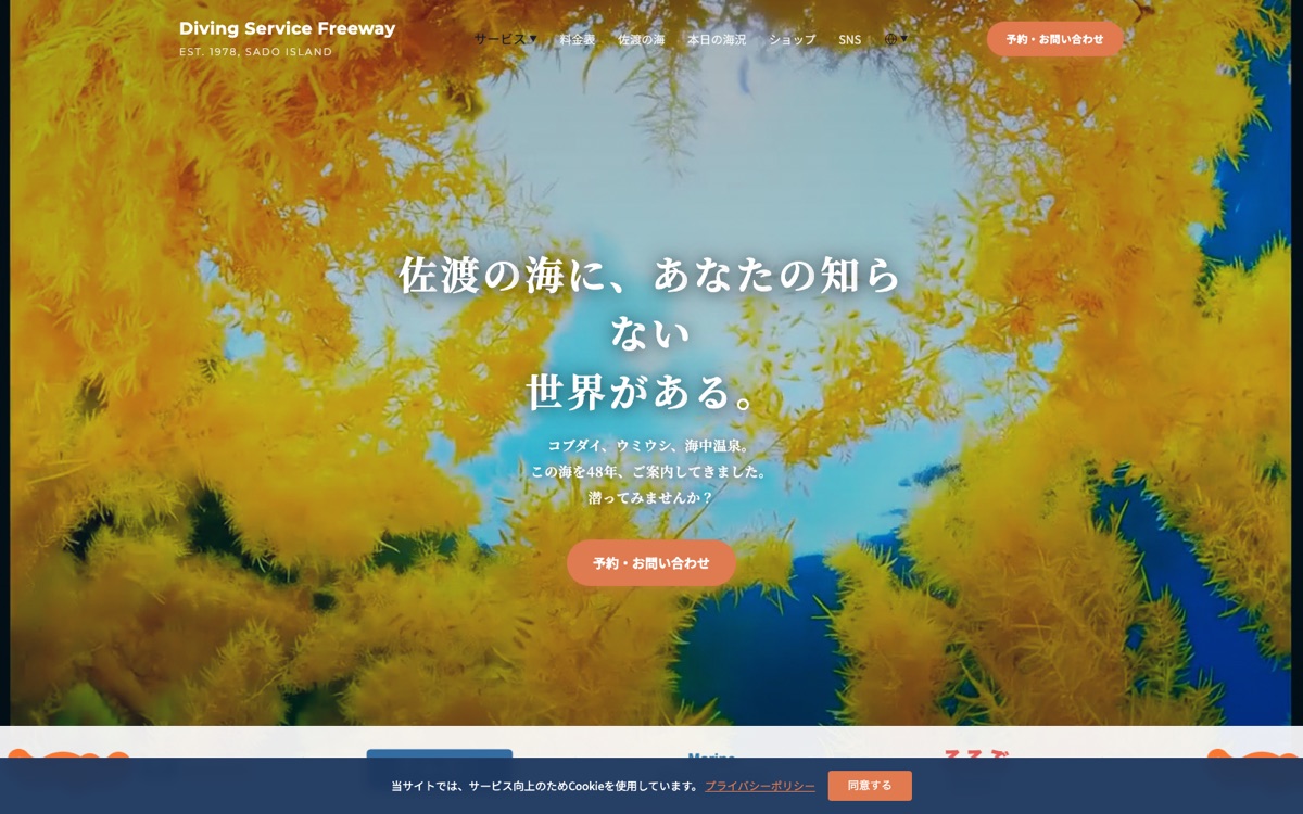 Freeway 佐渡の観光・ダイビングサイト